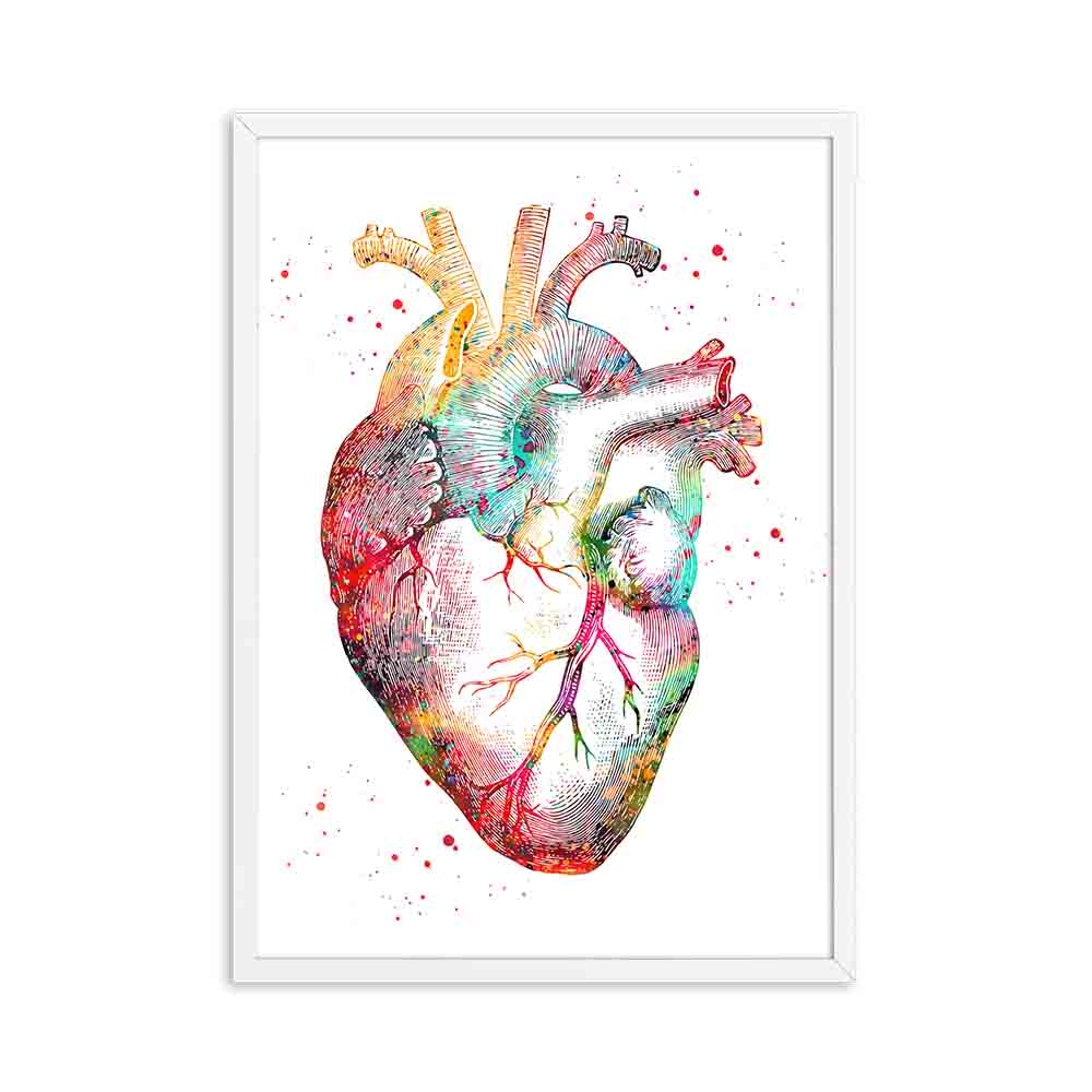 Arthia Designs - Colorful Human Anatomy Canvas Art - Review