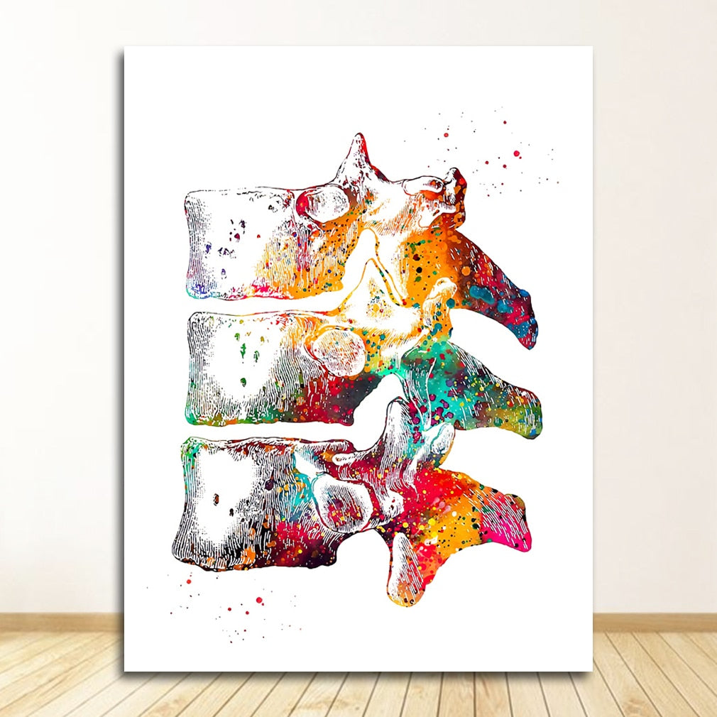 Arthia Designs - Human Anatomy Systems Canvas Art - Review