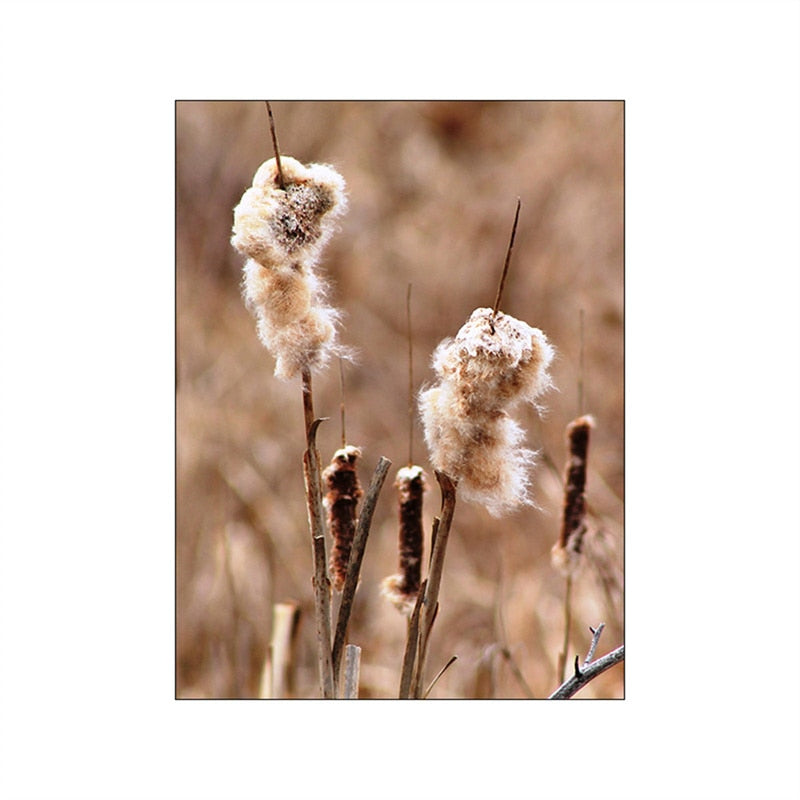 Arthia Designs - Autumn Sunlight Paddy Field Canvas Art - Review