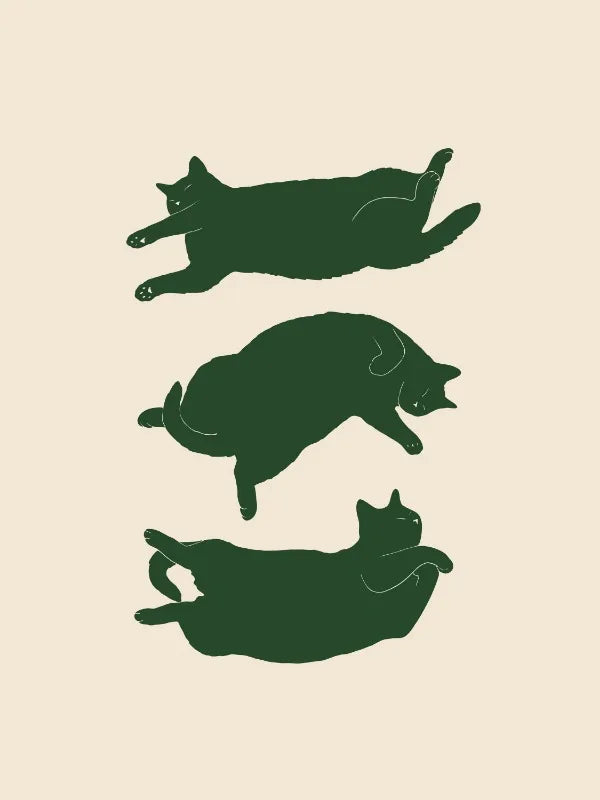 Arthia Designs - Funny Lazy Cat Dumpling Canvas Art - Review