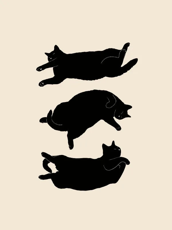 Arthia Designs - Funny Lazy Cat Dumpling Canvas Art - Review