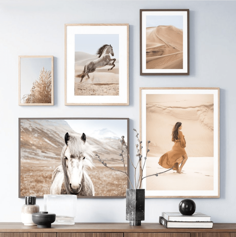 Arthia Designs - Desert Mountain Horse Canvas Art - Review