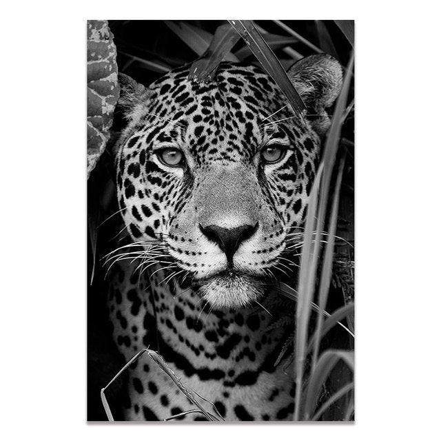 Arthia Designs - Black and White Wild Animal Canvas Art - Review