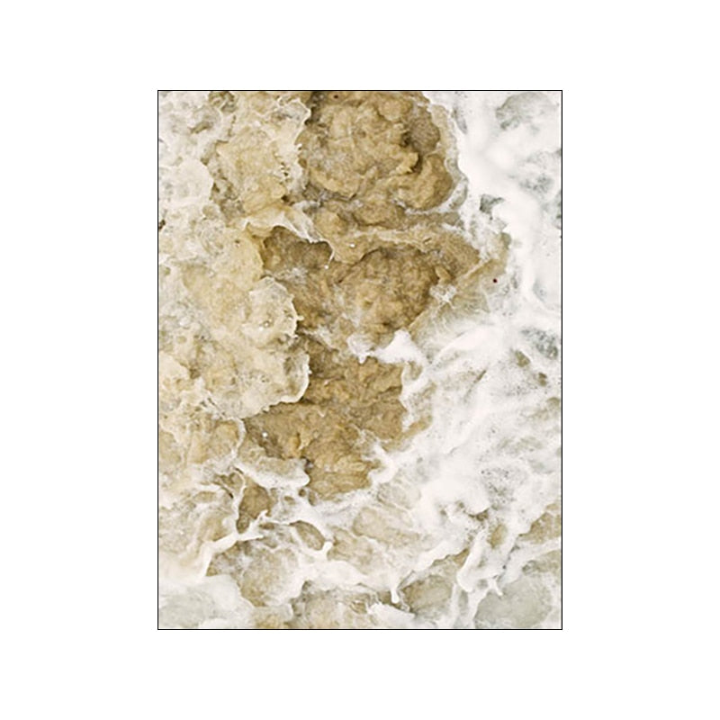 Arthia Designs - White Flower Natural Sunset Canvas Art - Review