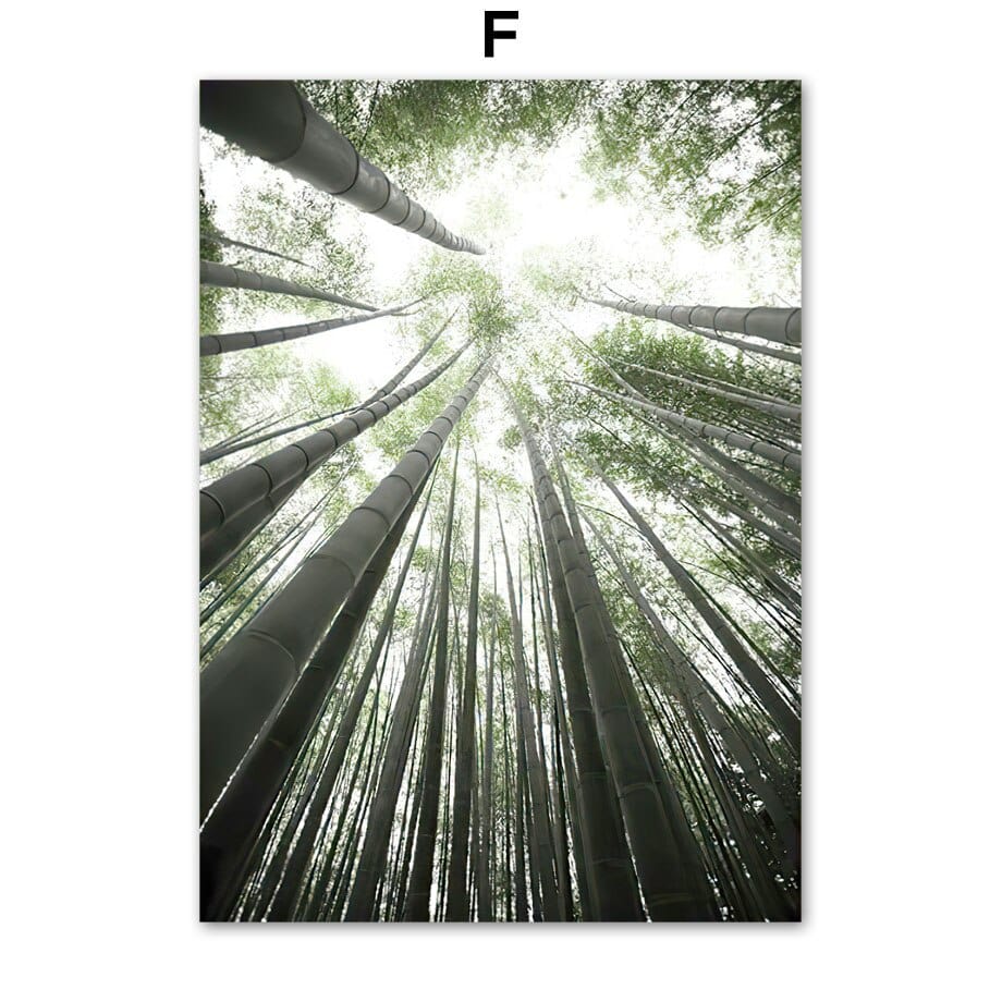 Arthia Designs - Bamboo Forest Hill Canvas Art - Review