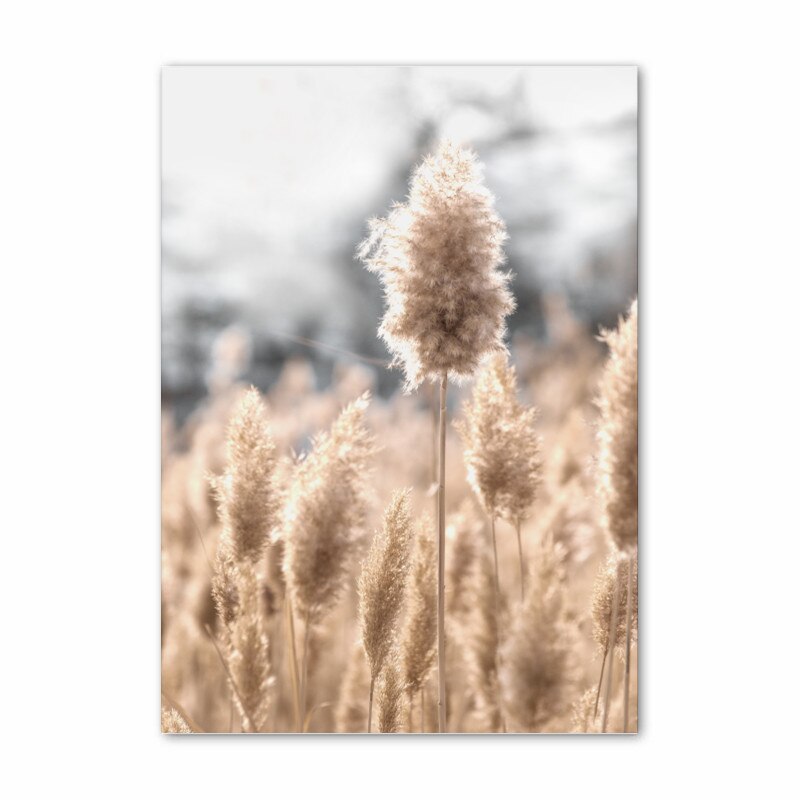 Arthia Designs - Khaki Dandelion Nature Scenery Canvas Art - Review