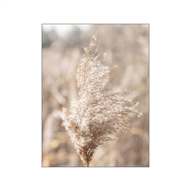 Arthia Designs - Grassland Lion Dandelion Reed Canvas Art - Review