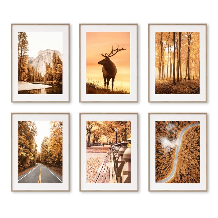 Arthia Designs - Autumn Maple Forest Canvas Art - Review