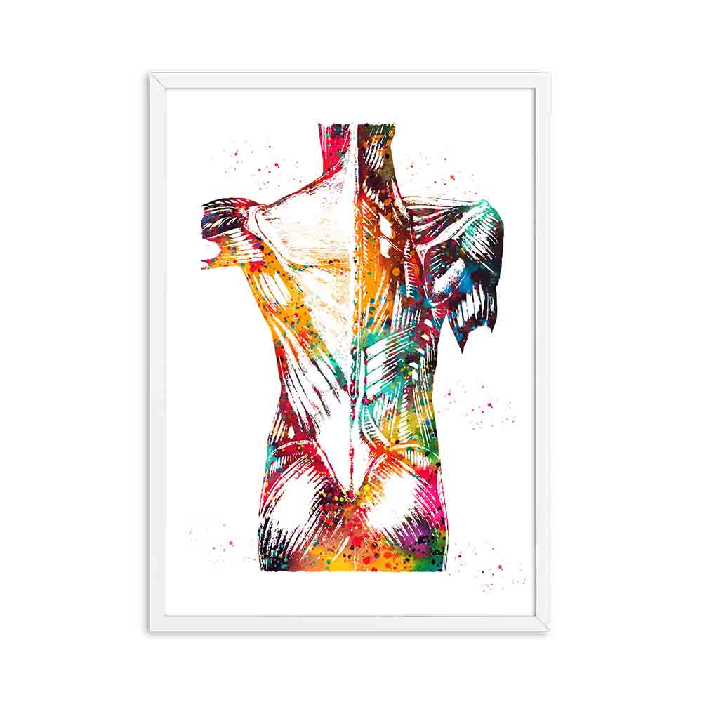 Arthia Designs - Colorful Human Anatomy Canvas Art - Review