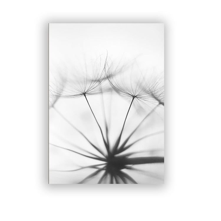 Arthia Designs - Black White Feather Dandelion Canvas Art - Review