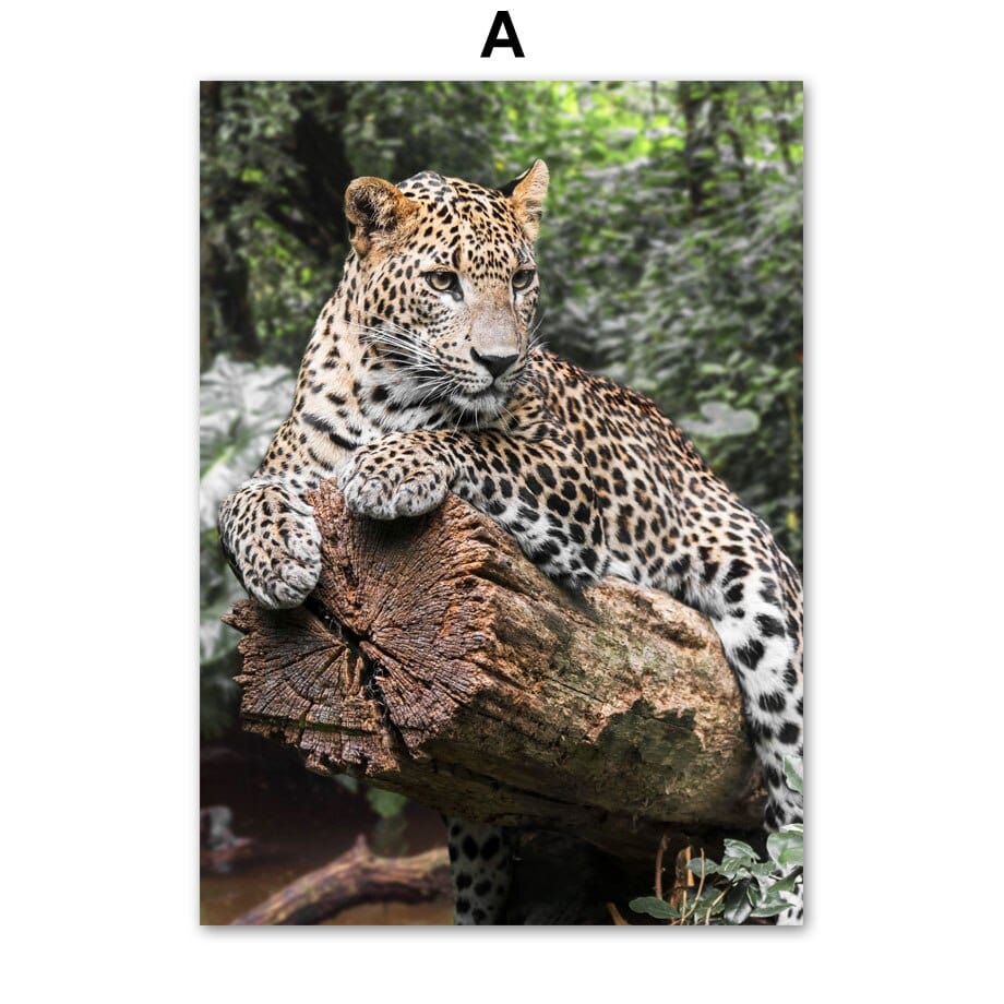 Arthia Designs - Mother Nature Forest Animal Canvas Art - Review