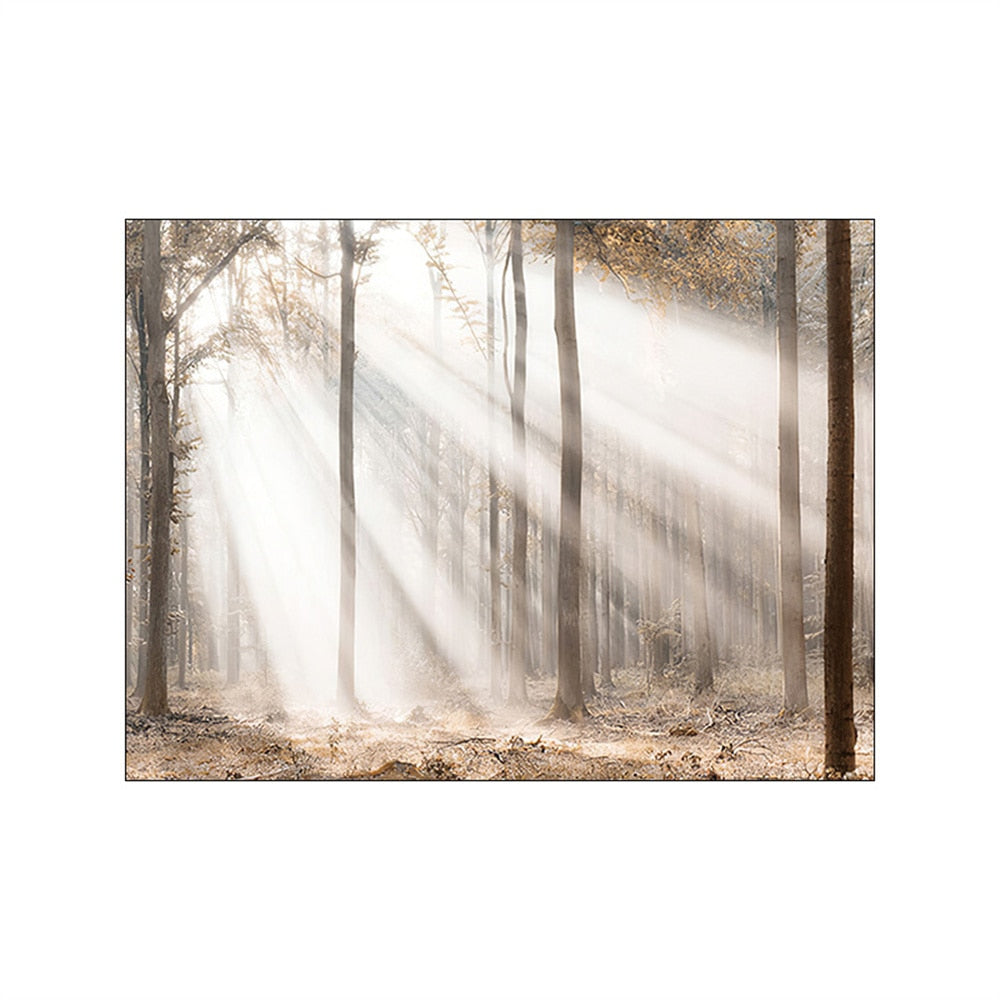 Arthia Designs - Autumn Nordic Forest Landscape Canvas Art - Review