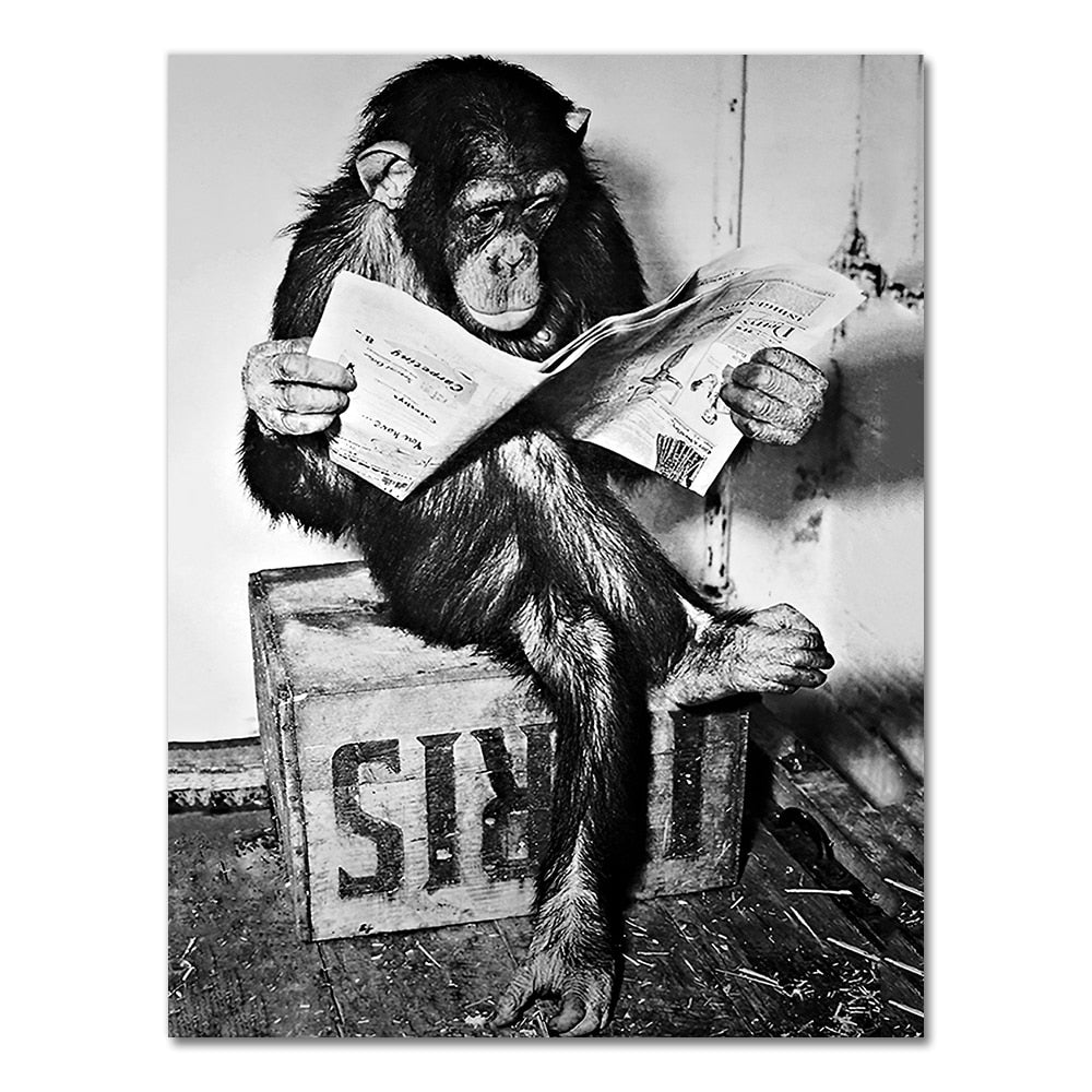 Arthia Designs - Funny Monkey Reading Newspaper Canvas Art - Review