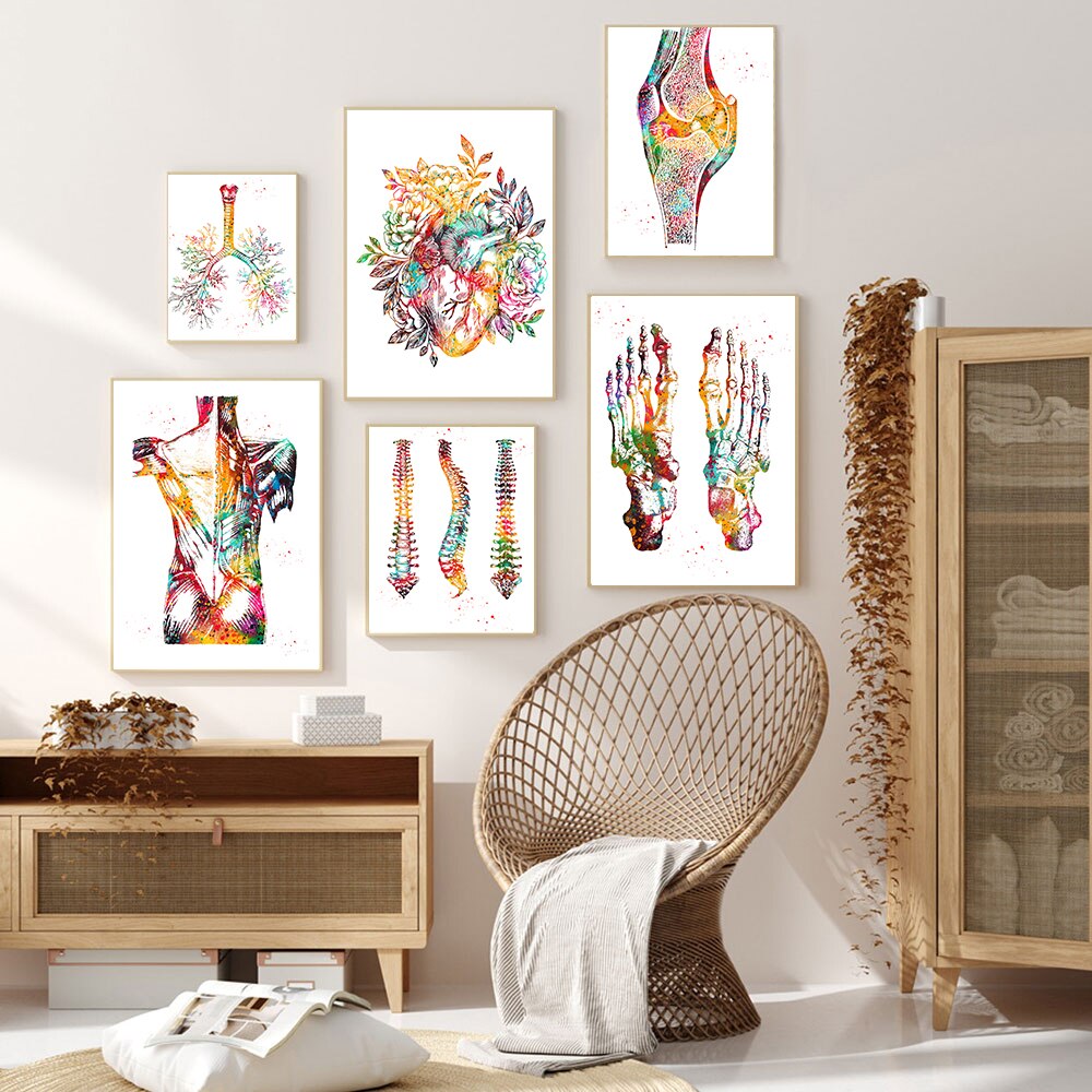 Arthia Designs - Colorful Human Anatomy Canvas Art - Review