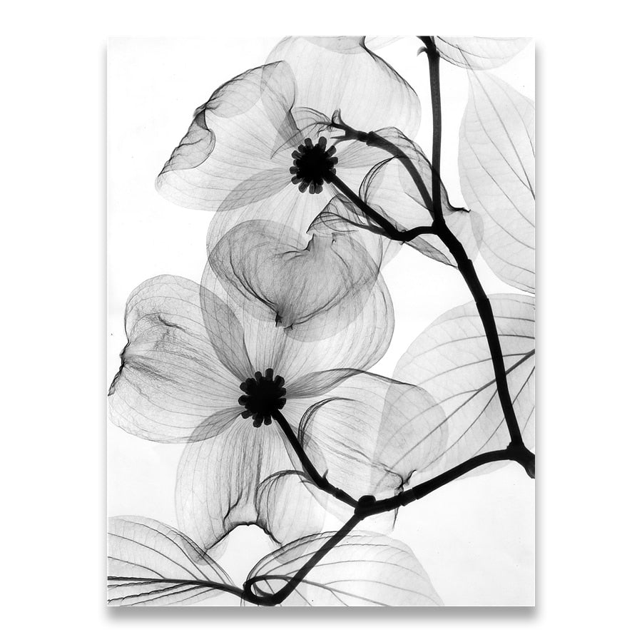 Arthia Designs - Black & White Abstract Flower Canvas Art - Review