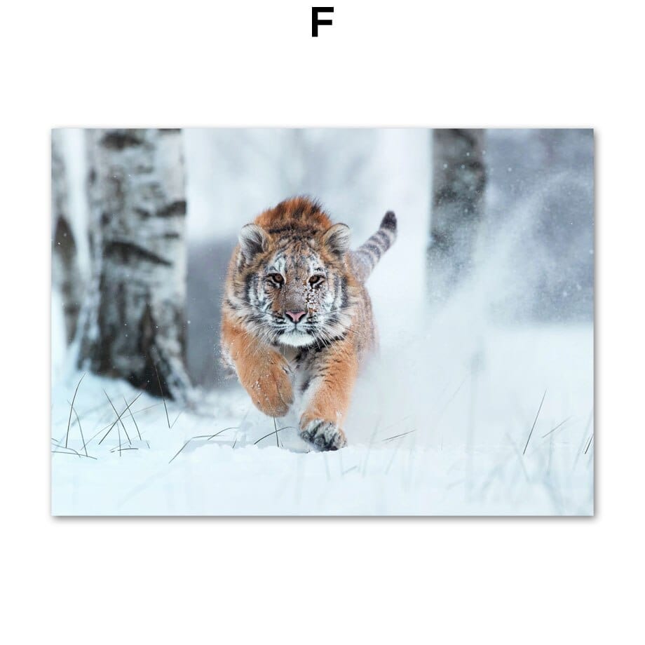 Arthia Designs - Winter Forest Animal Gallery Wall Canvas Art - Review