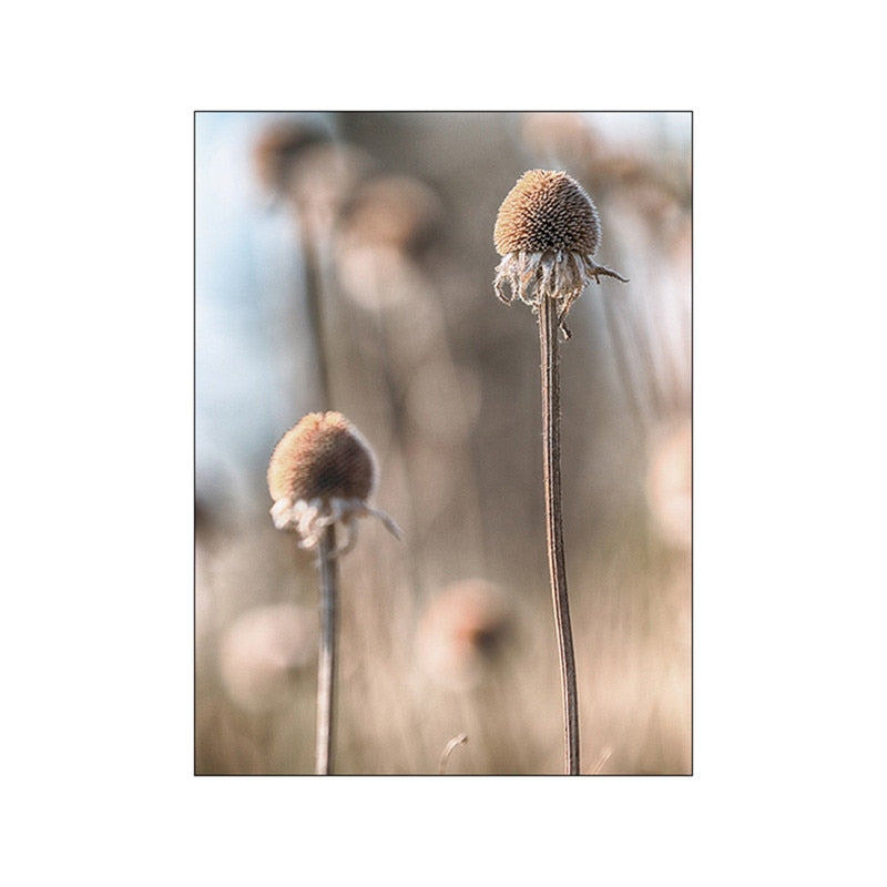 Arthia Designs - Nordic Brown Dandelion Landscape Canvas Art - Review