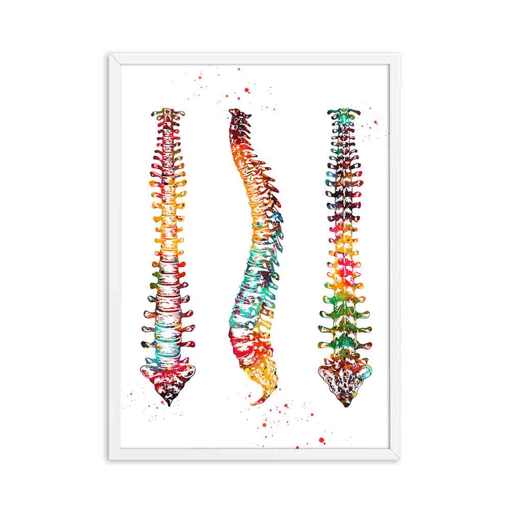 Arthia Designs - Colorful Human Anatomy Canvas Art - Review