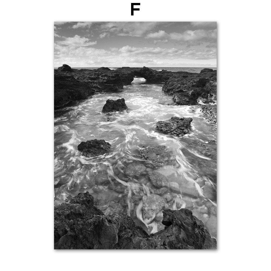 Arthia Designs - Black and White Forest Sea Canvas Art - Review