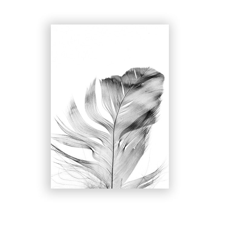 Arthia Designs - Black White Feather Dandelion Canvas Art - Review