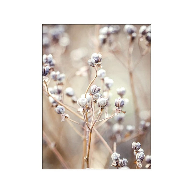 Arthia Designs - Nordic Brown Dandelion Landscape Canvas Art - Review