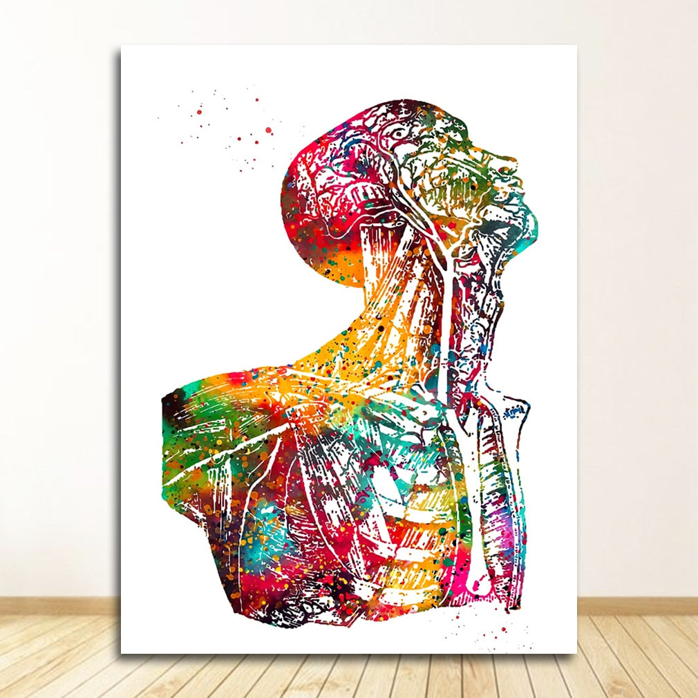 Arthia Designs - Human Anatomy Systems Canvas Art - Review