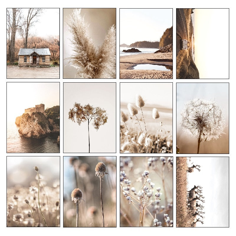 Arthia Designs - Nordic Brown Dandelion Landscape Canvas Art - Review