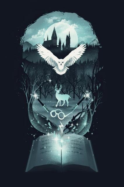 Arthia Designs - Harry Potter Animal Magic Canvas Art - Review