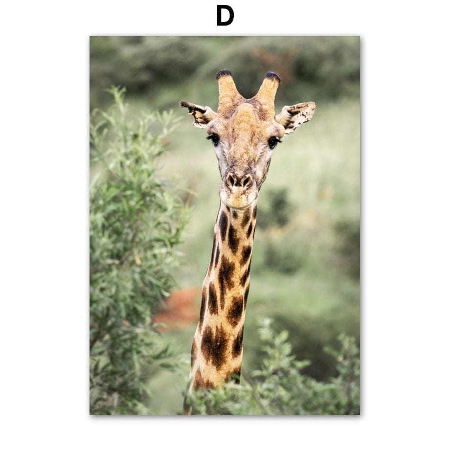 Arthia Designs - Nature Wild Forest Animal Canvas Art - Review