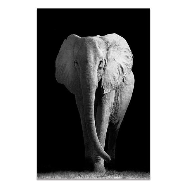 Arthia Designs - Black and White Wild Animal Canvas Art - Review