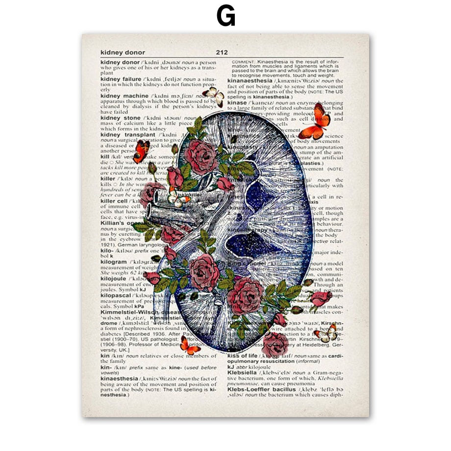 Arthia Designs - Vintage Human Organs Anatomy Canvas Art - Review