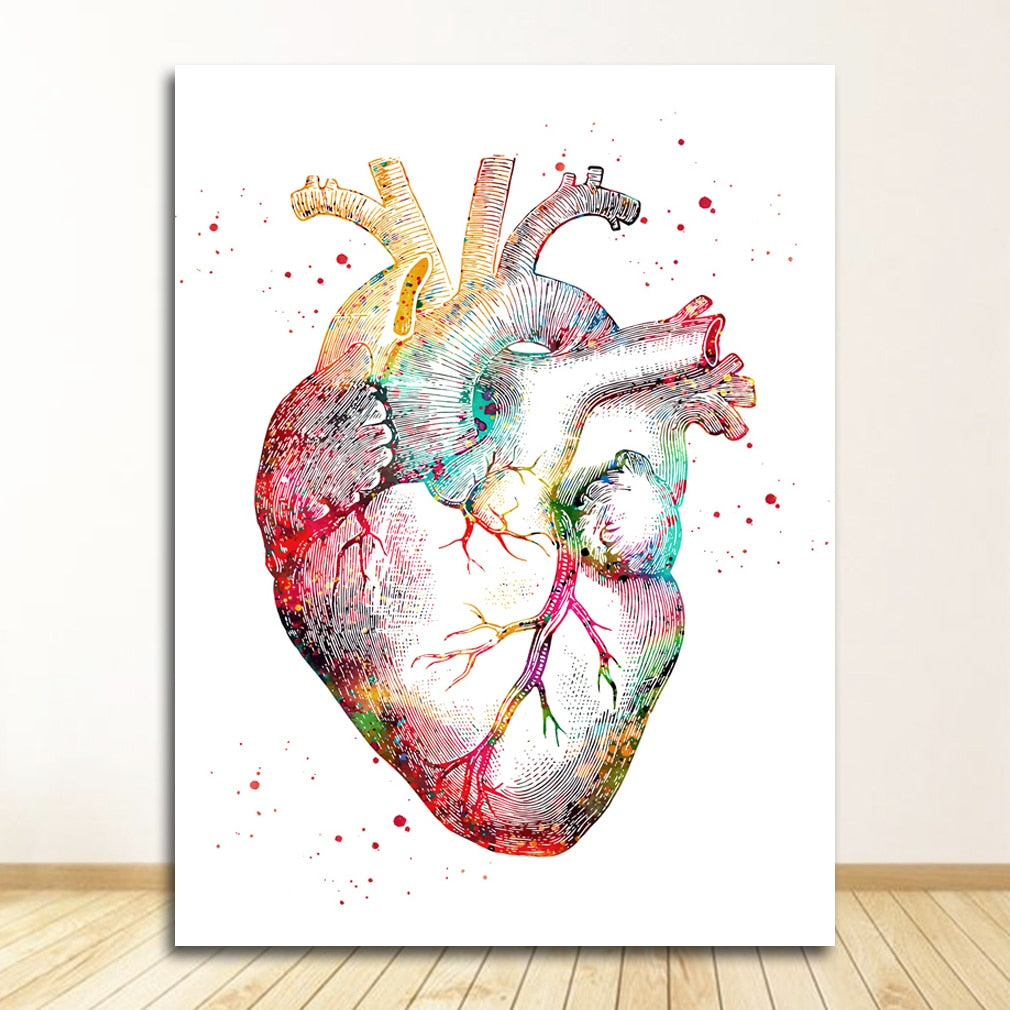 Arthia Designs - Human Anatomy Systems Canvas Art - Review