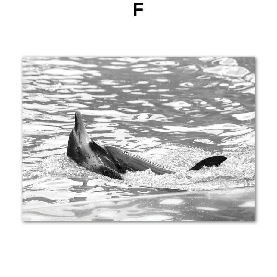 Arthia Designs - Black and White Dolphin Beach Canvas Art - Review