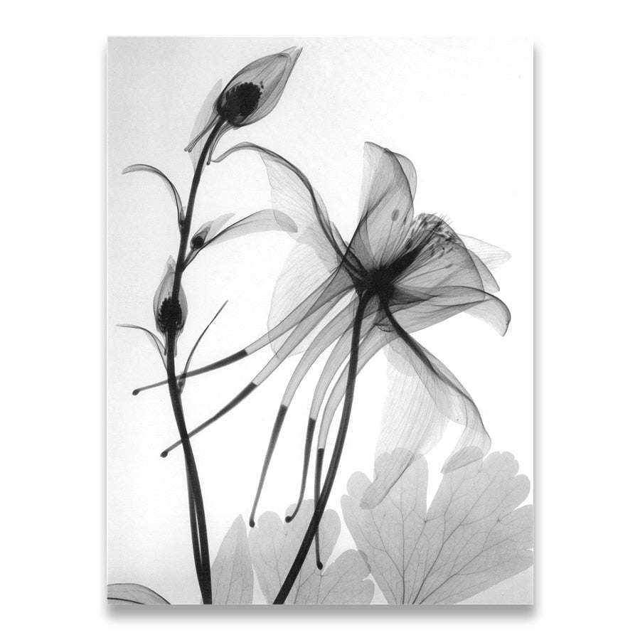 Arthia Designs - Black & White Abstract Flower Canvas Art - Review