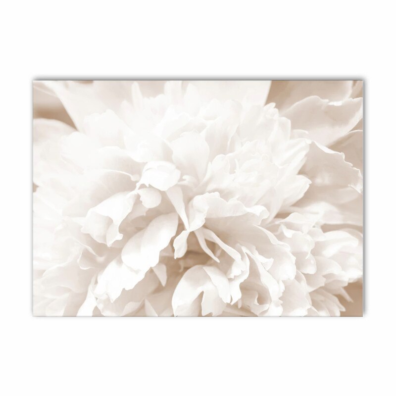 Arthia Designs - White Shell Beach Flower Canvas Art - Review