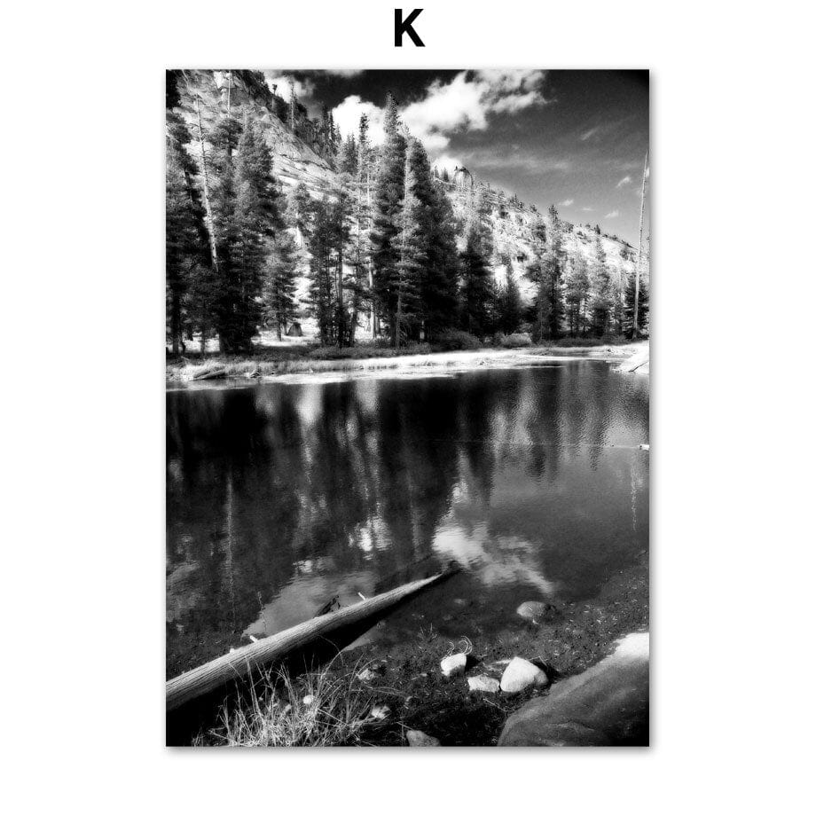 Arthia Designs - Black and White Forest Sea Canvas Art - Review