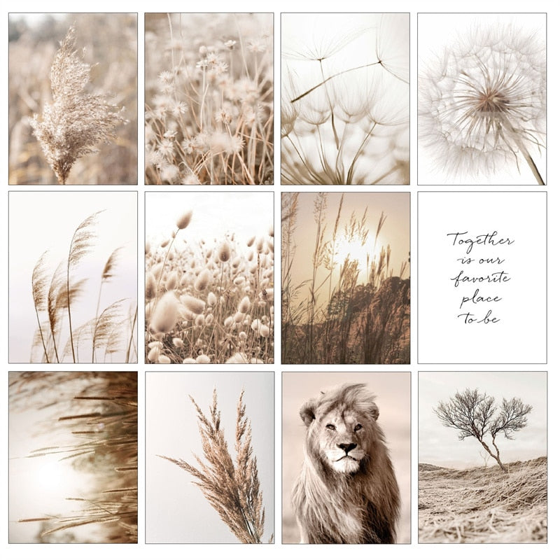 Arthia Designs - Grassland Lion Dandelion Reed Canvas Art - Review