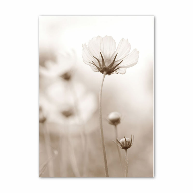 Arthia Designs - White Shell Beach Flower Canvas Art - Review