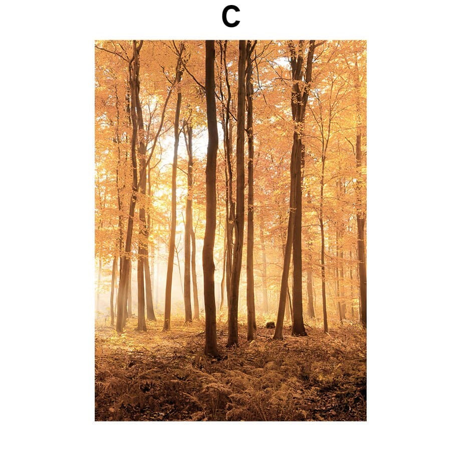 Arthia Designs - Autumn Maple Forest Canvas Art - Review