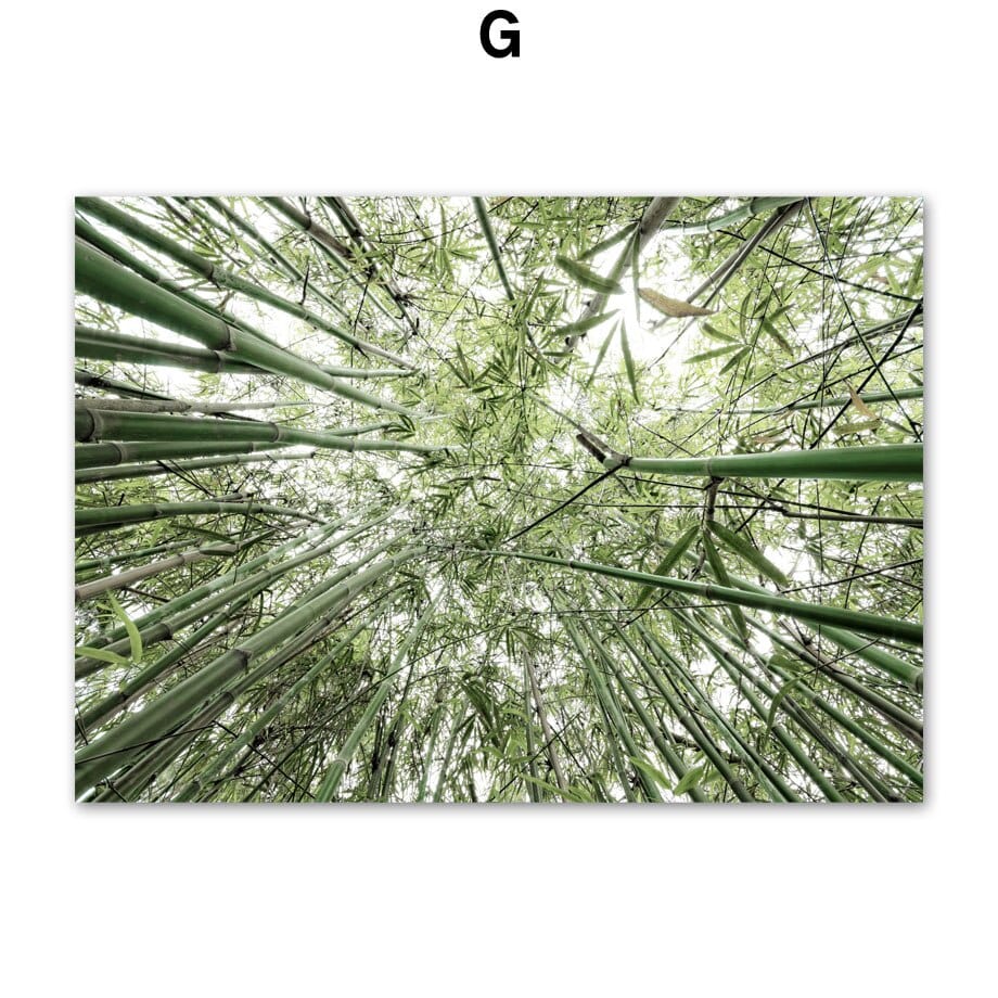 Arthia Designs - Bamboo Green Forest Beach Canvas Art - Review