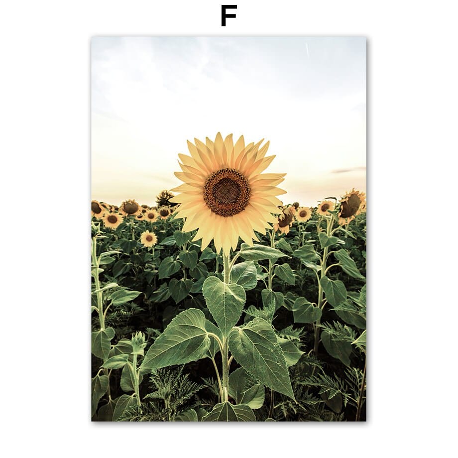 Arthia Designs - Blooming Sunflower Garden Canvas Art - Review