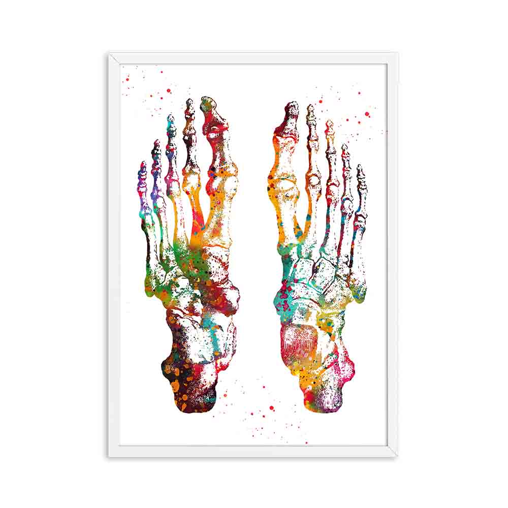 Arthia Designs - Colorful Human Anatomy Canvas Art - Review