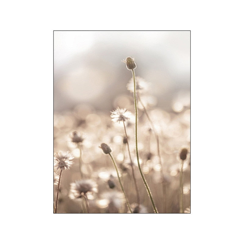 Arthia Designs - Nordic Brown Dandelion Landscape Canvas Art - Review