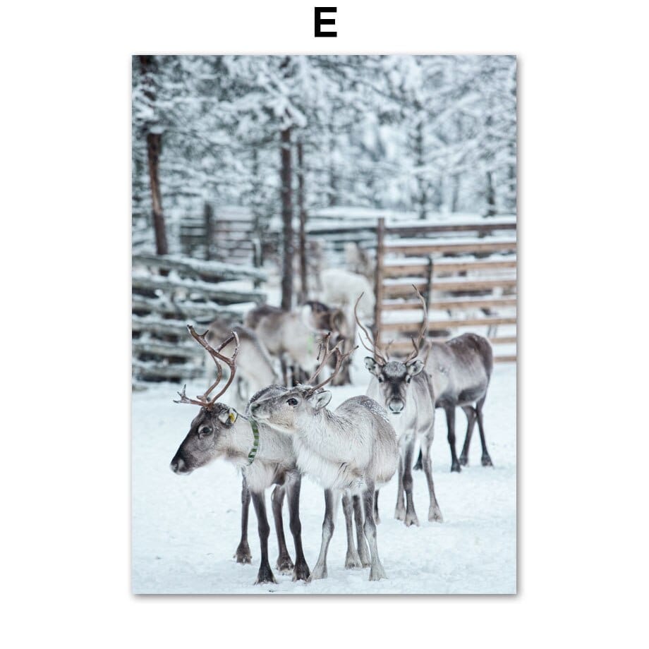 Arthia Designs - Winter Forest Animal Gallery Wall Canvas Art - Review