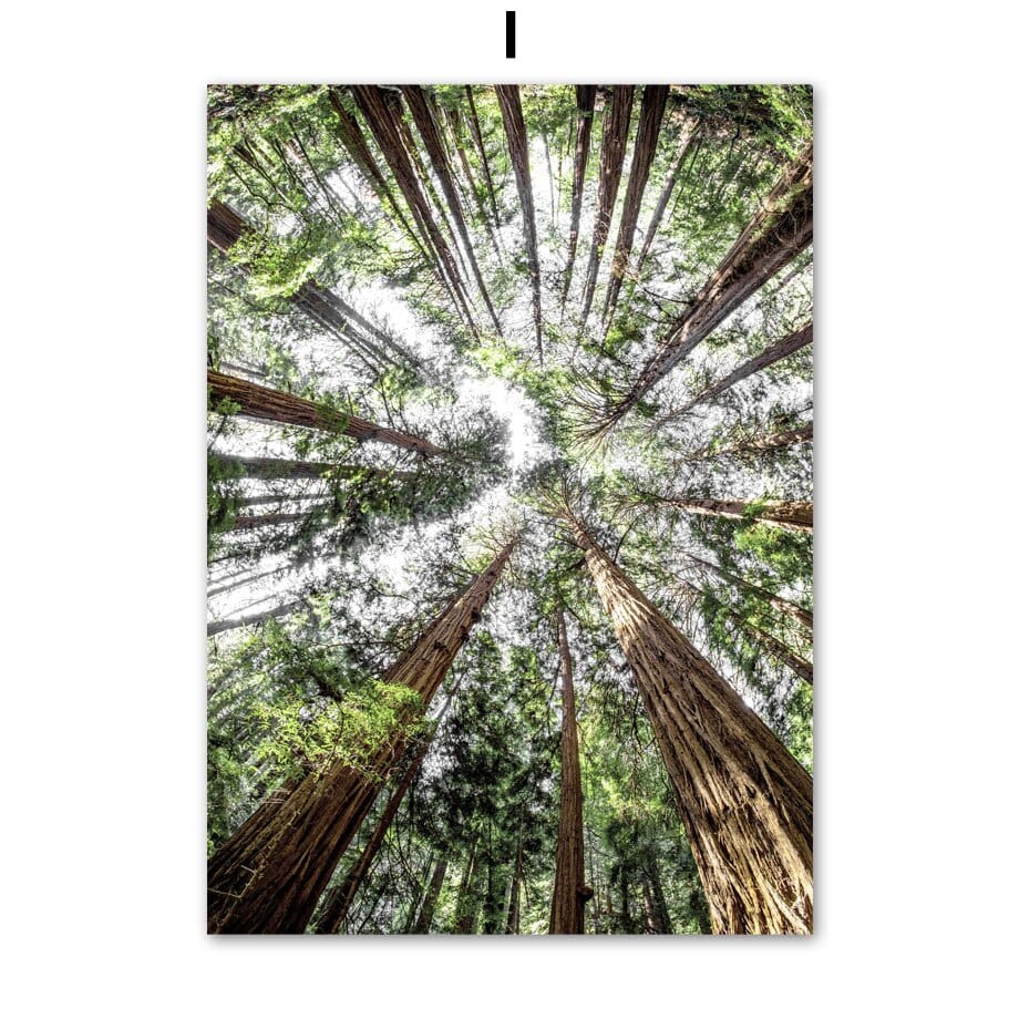 Arthia Designs - Fauna Green Forest Wildlife Canvas Art - Review