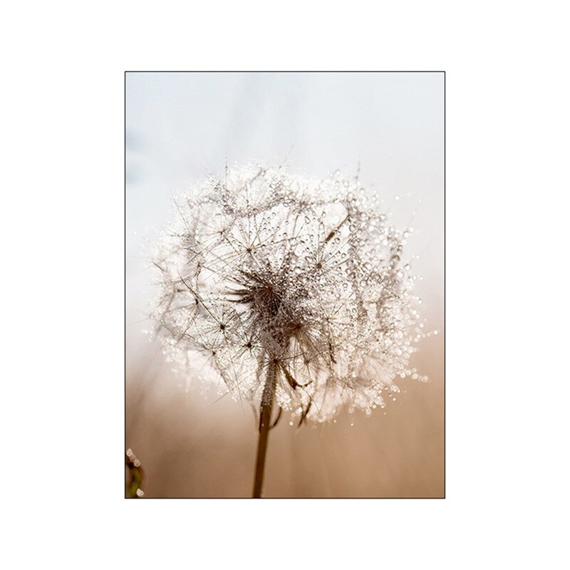 Arthia Designs - Nordic Brown Dandelion Landscape Canvas Art - Review