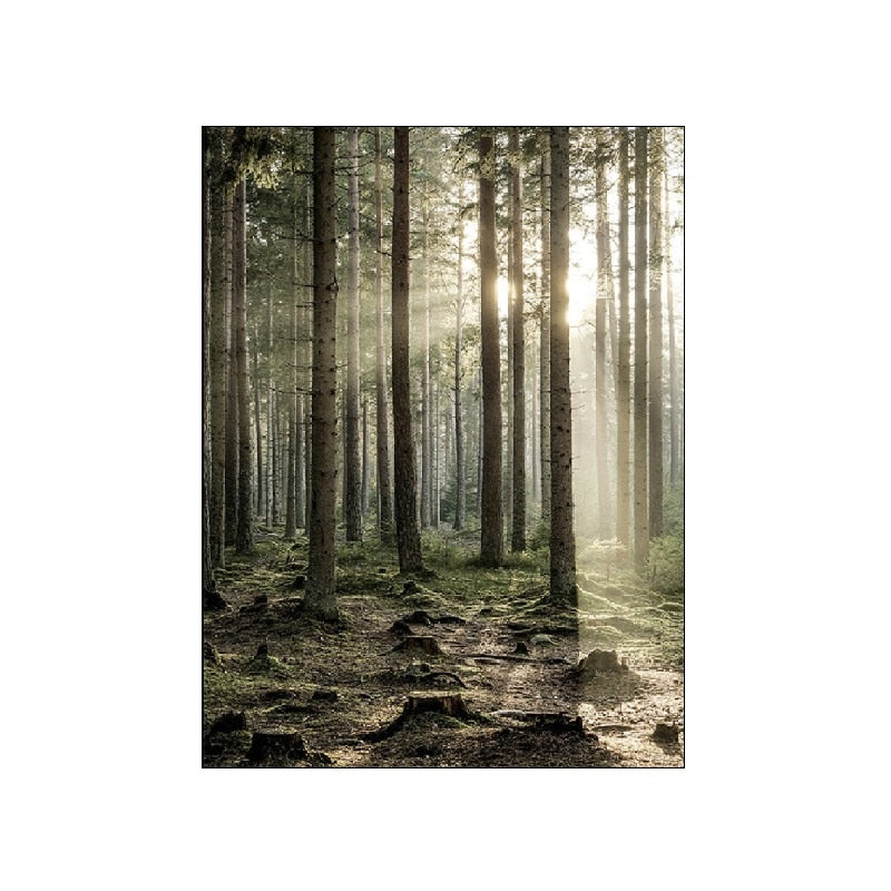 Arthia Designs - Green Forest Mountain Landscape Canvas Art - Review