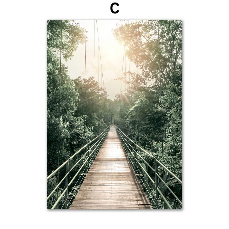 Arthia Designs - Amazon Rainforest Canvas Art - Review