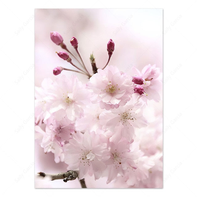 Arthia Designs - Japanese Pink Flower Scenery Canvas Art - Review