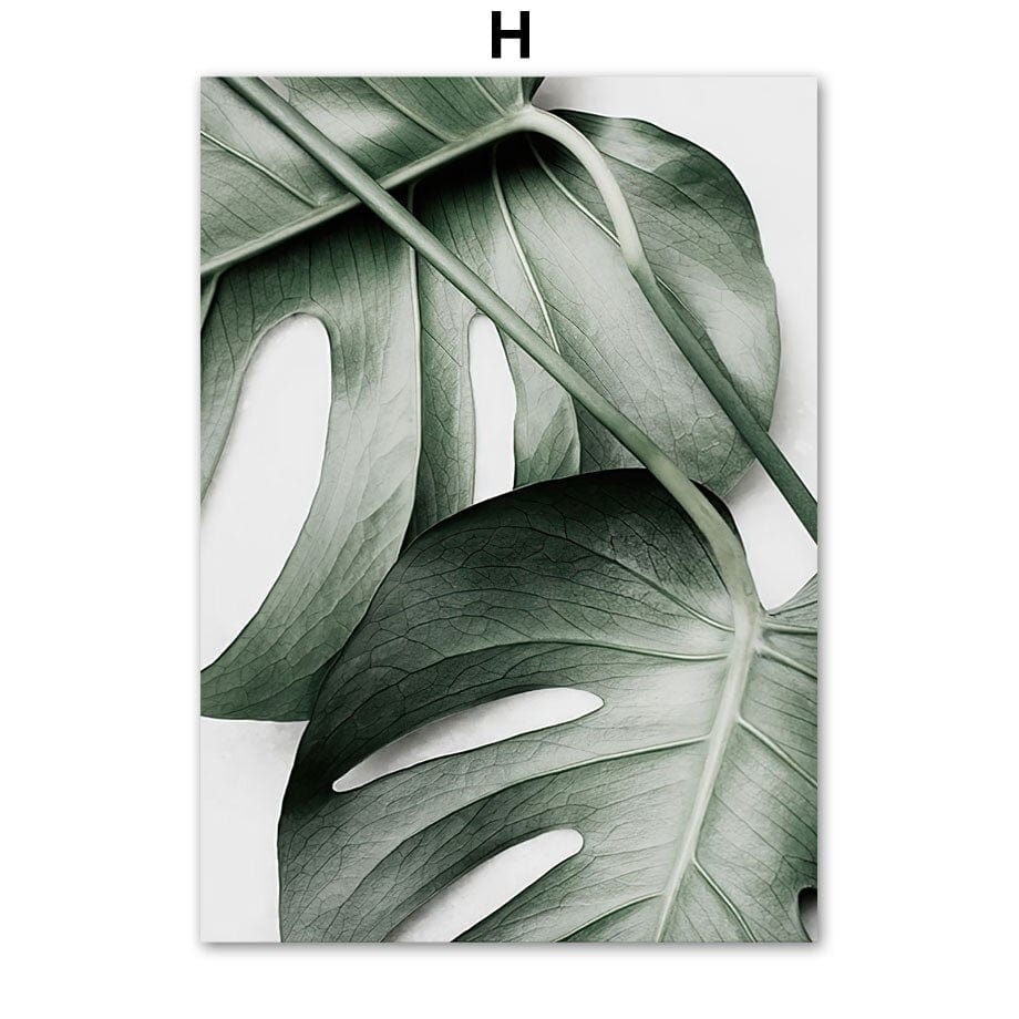 Arthia Designs - Tropical Green Plant Canvas Art - Review